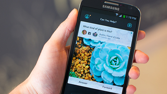 jelly ios domanda risposta twitter