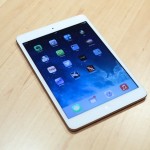 ipadmini2